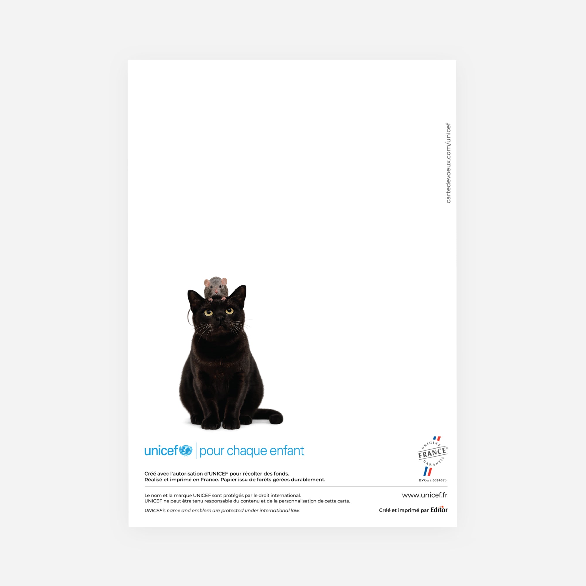 Œil sur l’Avenir | Vœux professionnels • Carte de voeux • Double volet portrait photo N° 3