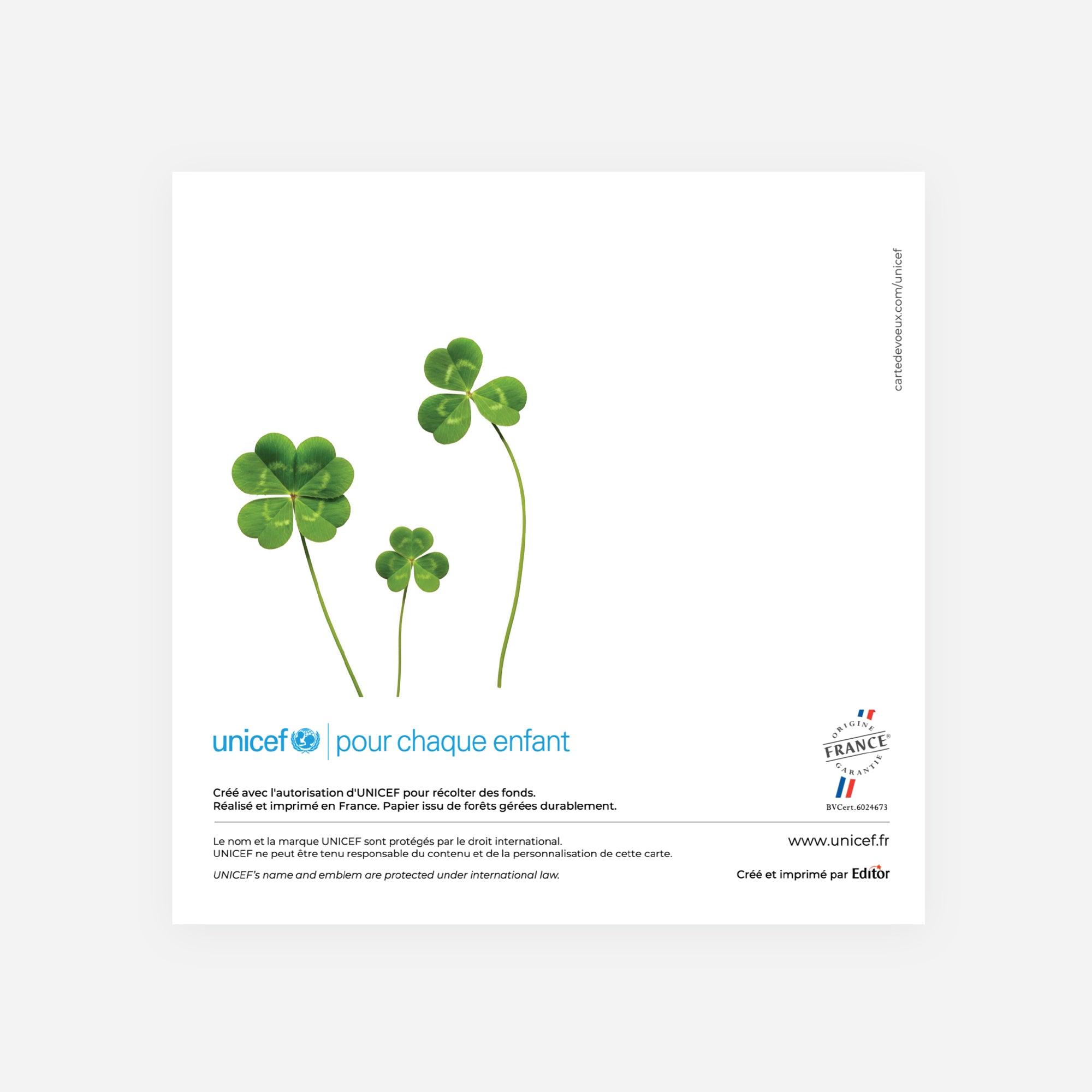 Trèfle d’Avenir | Vœux professionnels • Carte de voeux • Carré double photo N° 3