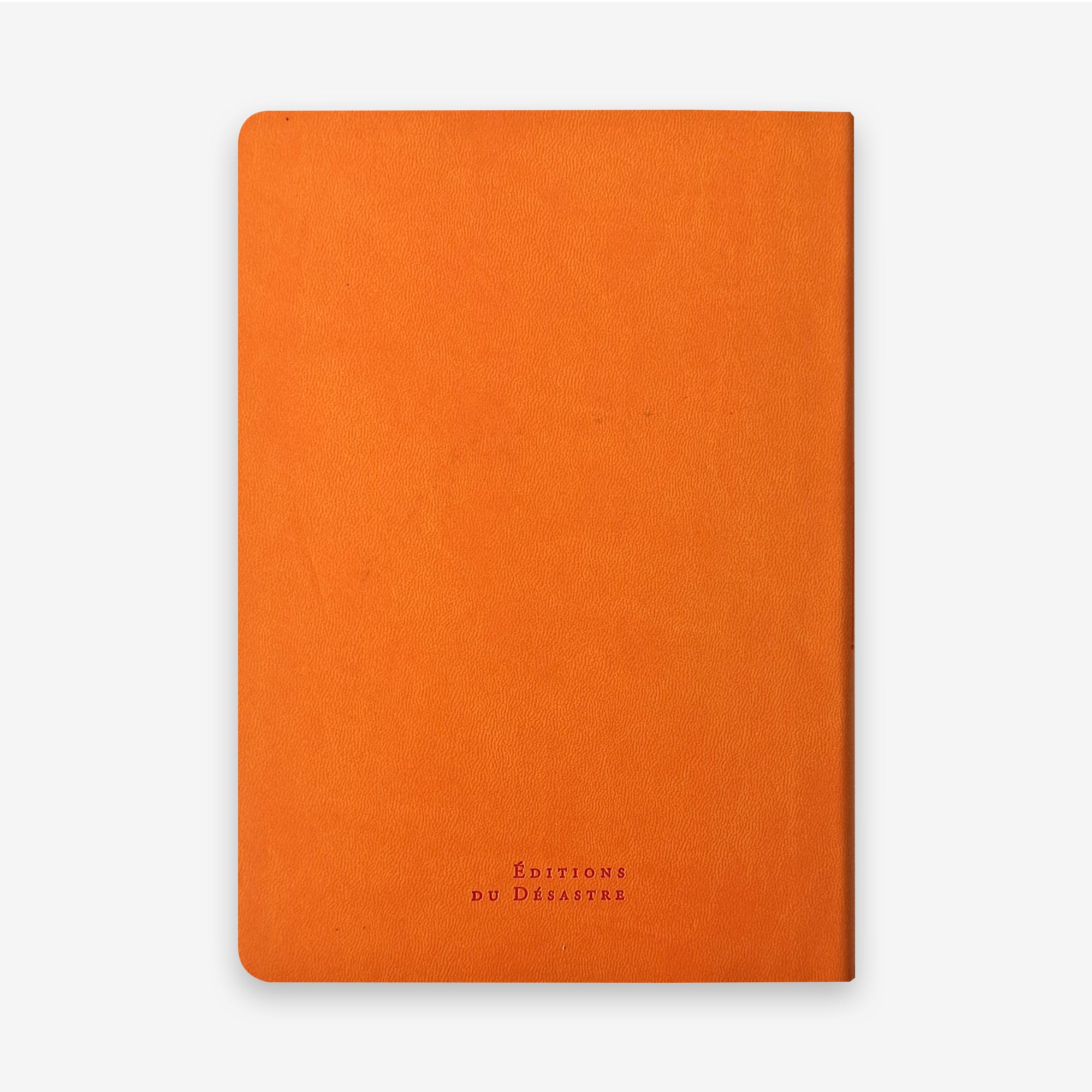 Nuance | Vœux professionnels • Carnet • Simili cuir - A5 - Orange vitaminé - 192 pages photo N° 2