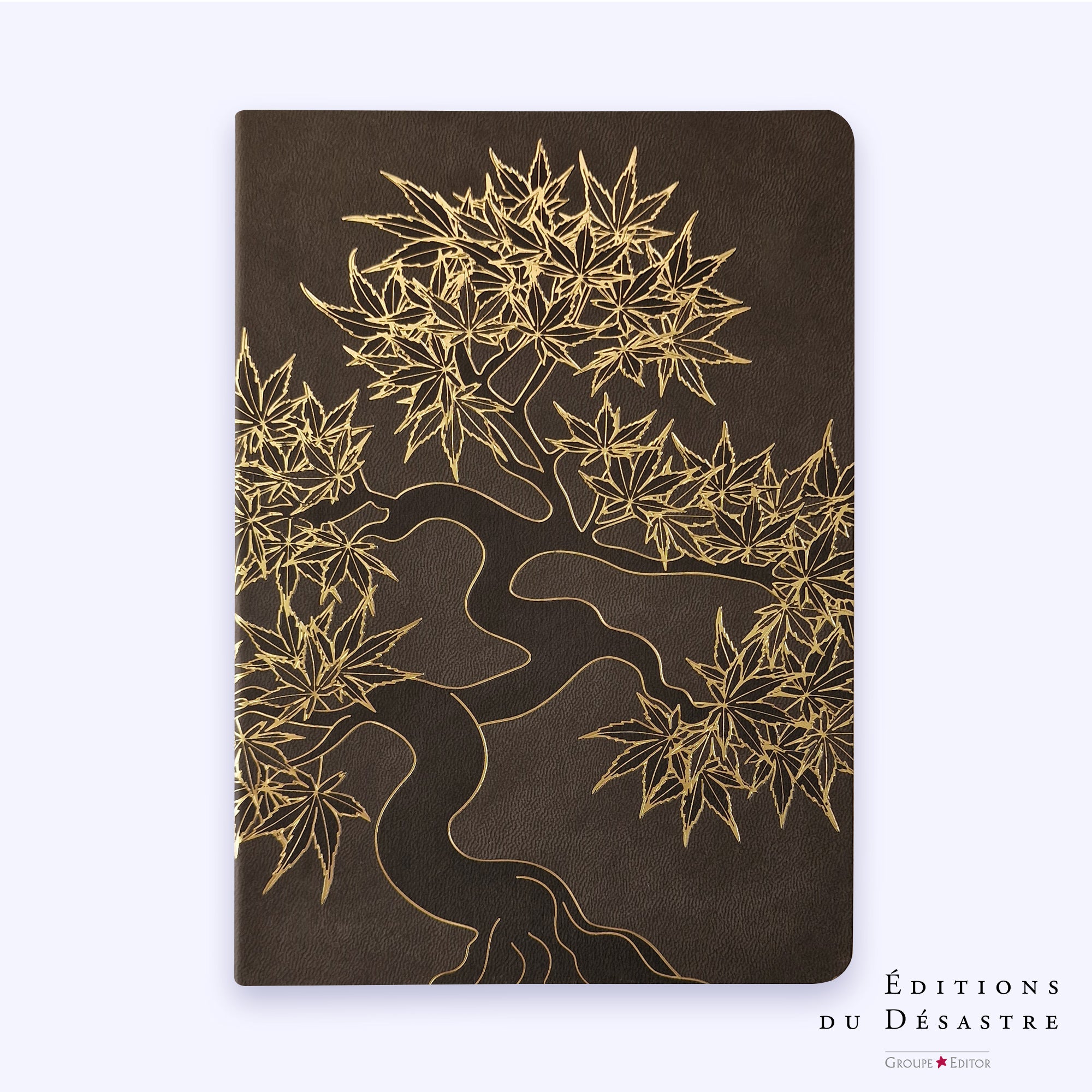 Carnet Pepakura - Simili cuir - A5 - Erable - 192 pages photo N° 1