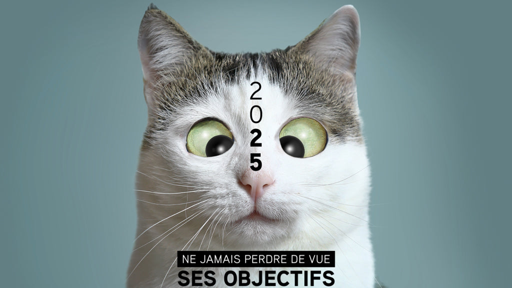 Funny Cat | Vœux professionnels • Carte virtuelle • eCard Vidéo photo N° 1