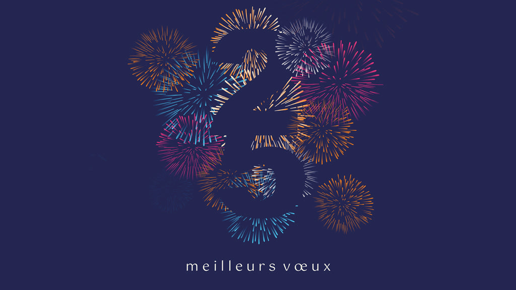 Fireworks | Vœux professionnels • Carte virtuelle photo N° 1