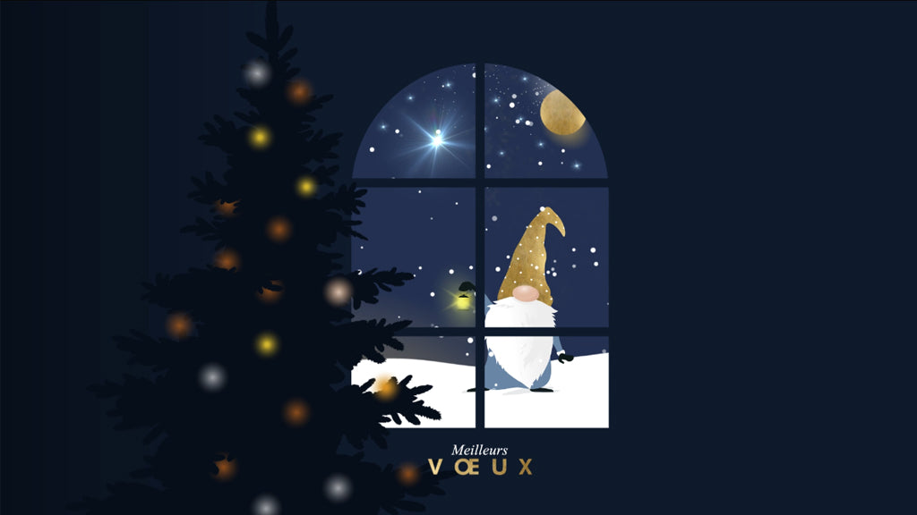 Gnome sous la lune | Vœux professionnels • Carte virtuelle photo N° 1